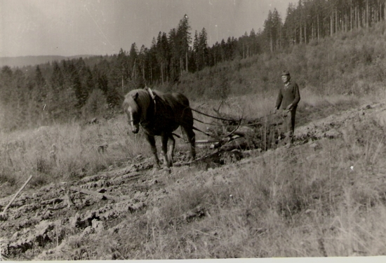 Na smrečkoch bez škrabancov k ceste...