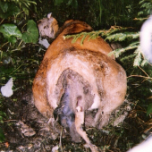 Keď nieto pomoci :(
