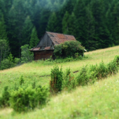 Majdan