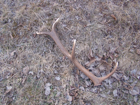 Dnes na sánkovačke