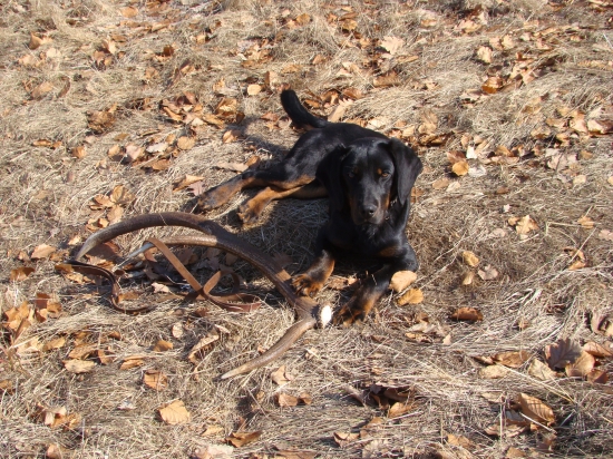 Oddych po prechádzke