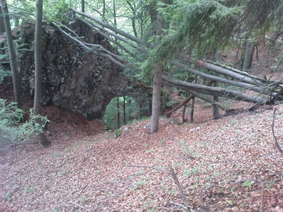 v Necpalskej doline