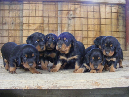 Z Hrachovského vŕšku