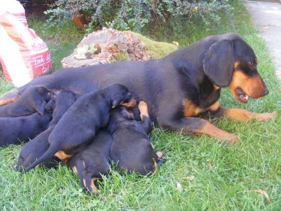 Už máme 4 týždne