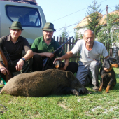 Dohľadávka