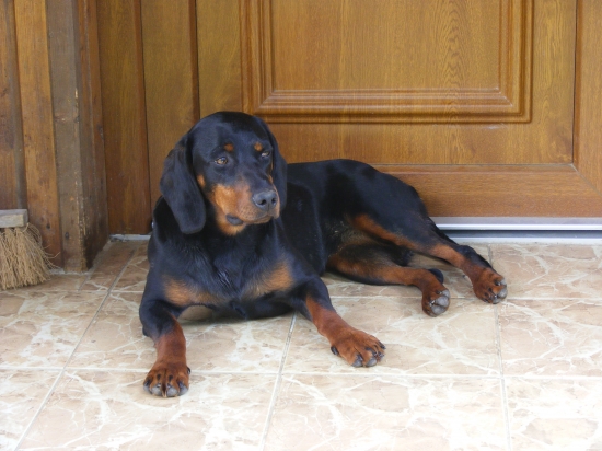 Carmen z Hrachovského vŕšku