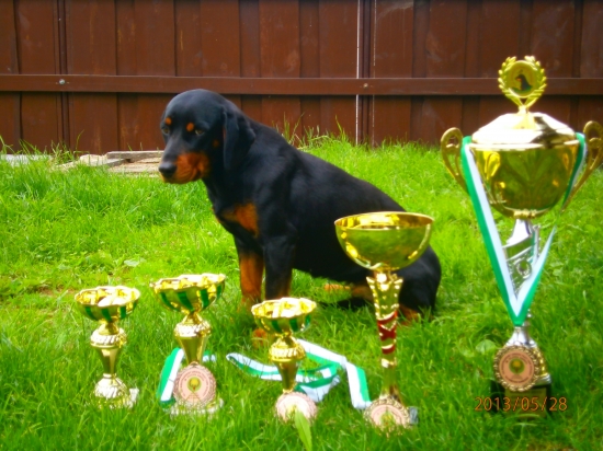 Benu z Hrachovského vŕšku