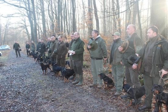 Slovenský kopov - kandidát chovu z výkonu