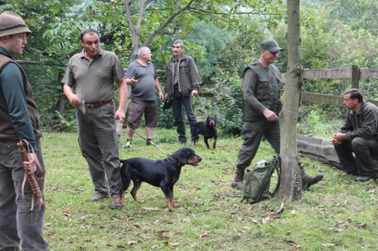 Bonitácia Slovenských kopovov
