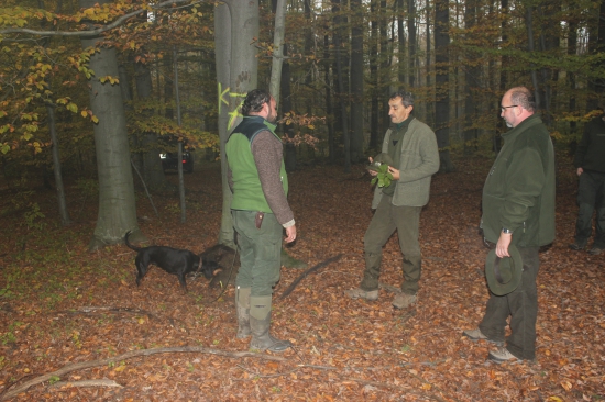 Úspešná dohľadávka