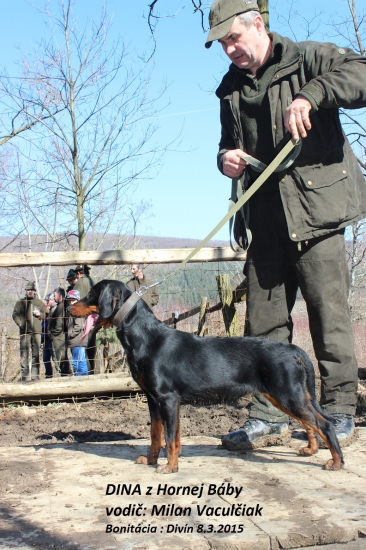 Nová sučka v chove