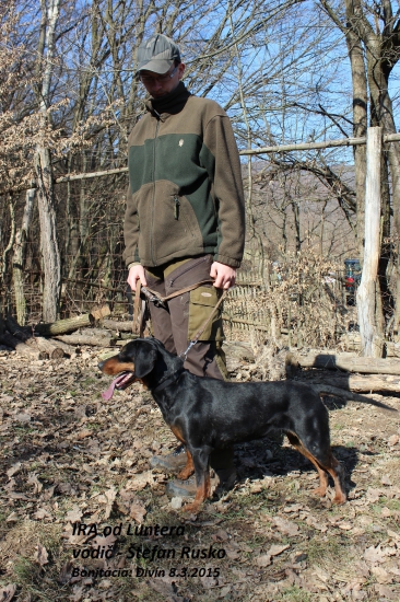 Nová sučka v chove