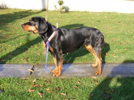 Z Hrachovského vŕšku