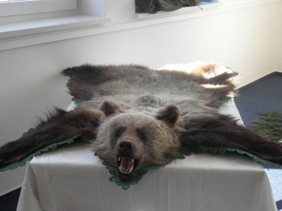 Chovatelská prehliadka