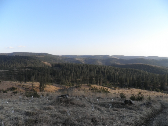 pohľad z Ihly (1283 m.n.m.)