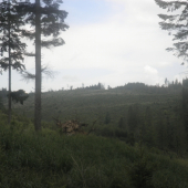 tesne pred burkou