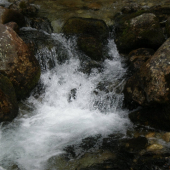 potôčik