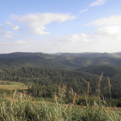príroda