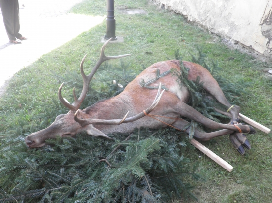 pocta sv.Hubertovi