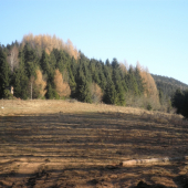 lúčka s posedom