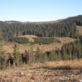 jesenná