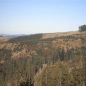 jesenná