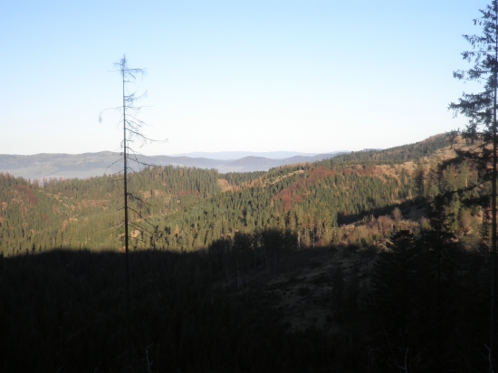 Levočské vrchy