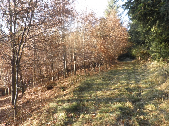 jesenná