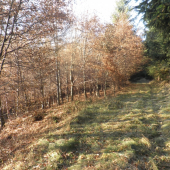 jesenná