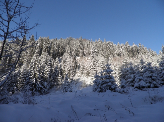 kedy sa dočkáme...??