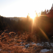 jesenno-zimná