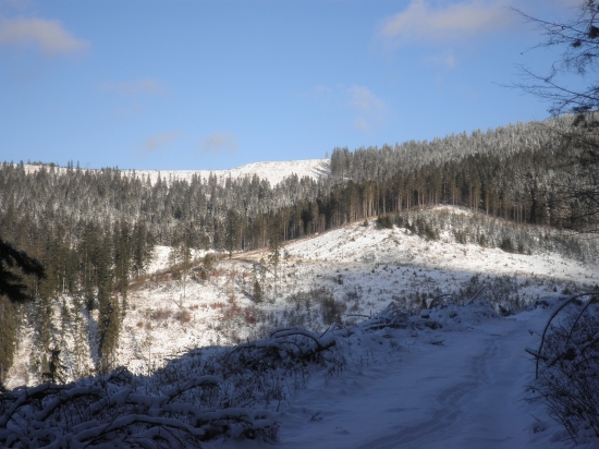 z dnešnej posliedky