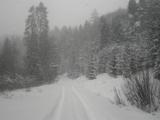 ked sa čerti ženia