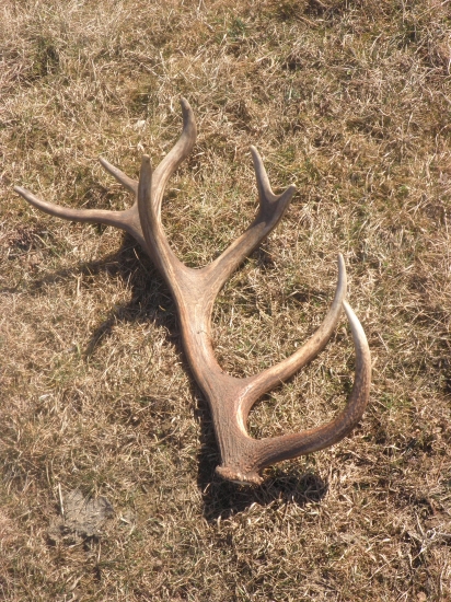 foto z archívu-zaujimavý 16-torák