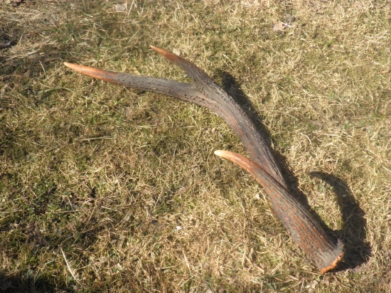 archivna-šesťtorák