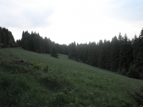 po daždi