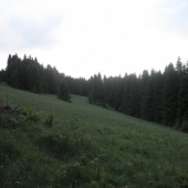 po daždi