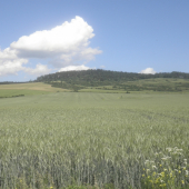letna krajina