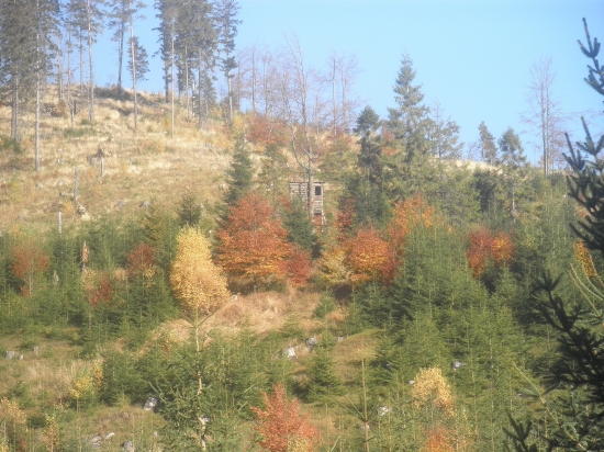 jesenná s posedom