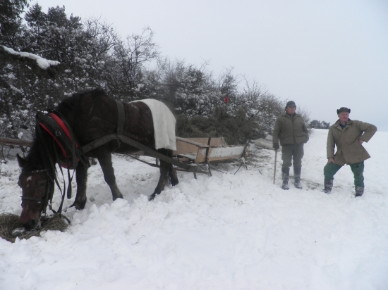 dnešné prikrmovanie
