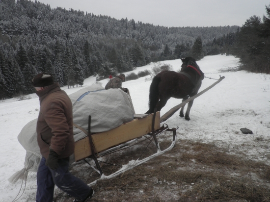víkendové prikrmovanie