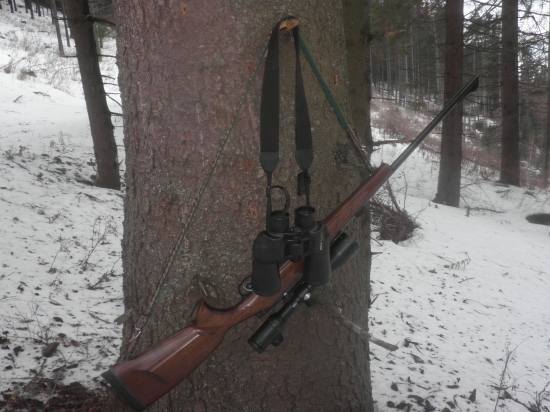 CZ 550 Lux 6.5x55 SE