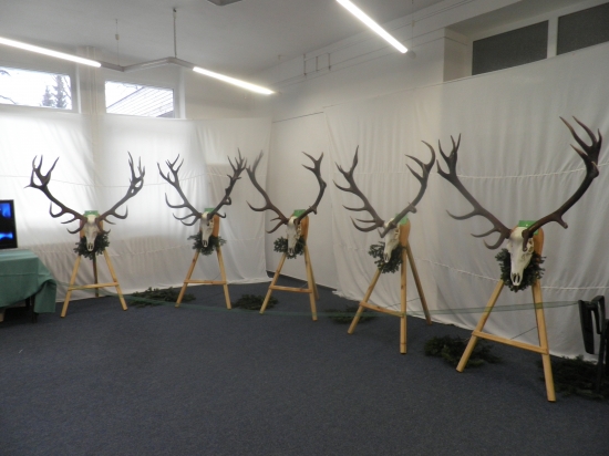 3x zlato , 2x striebro