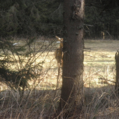 vidno ma , nevidno ma :)