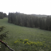 miesto na postriežku