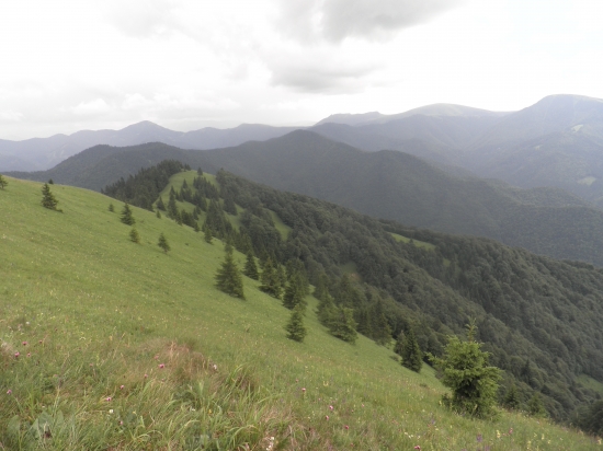 Fatranské pohľady