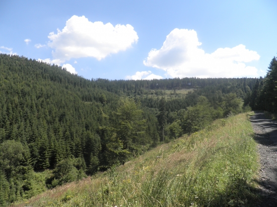 Levočské pohorie