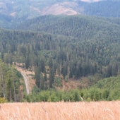 pohľad z Ihly na rujoviská