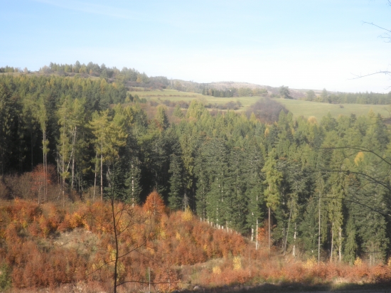 Pod chatou Dvorce...