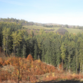 Pod chatou Dvorce...